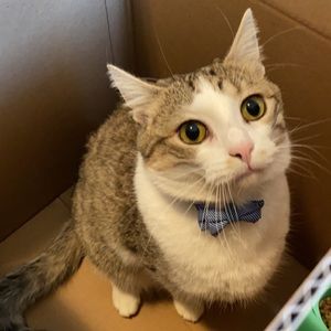 Meet your Posher, Carlos